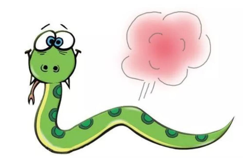 在农村看到王锦蛇在吃眼镜王蛇，为什么无毒的王锦蛇竟然可以制服眼镜王蛇？