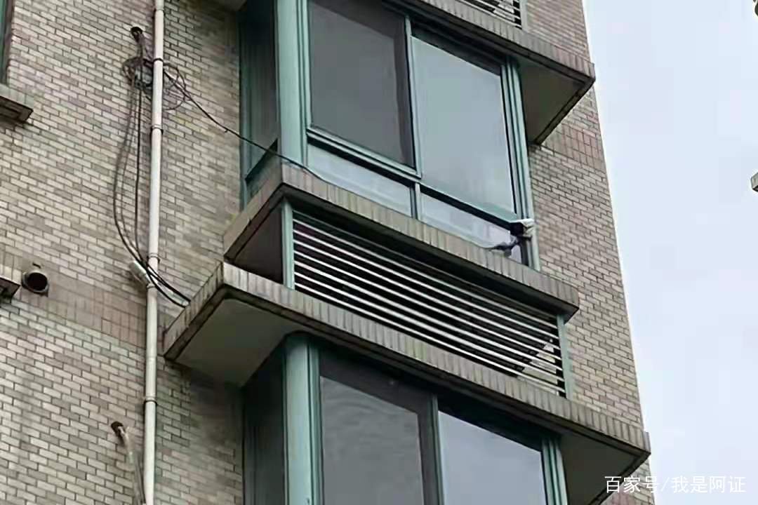 上海夫妻为报复邻居连开五年震楼器，到底什么仇什么怨？