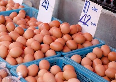 韩国鸡蛋价格暴涨，这是否属于一种正常的现象呢？