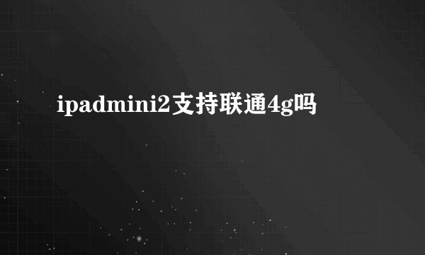 ipadmini2支持联通4g吗