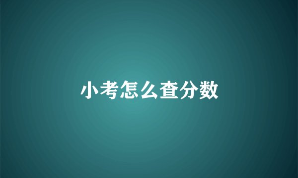 小考怎么查分数