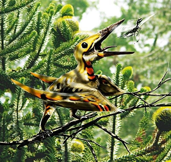 隐居森林翼龙的动物由来