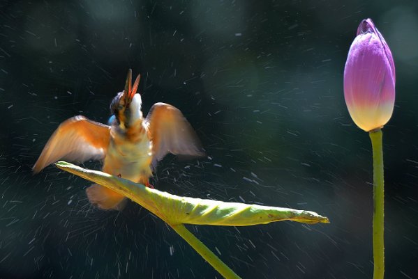 甩造句二年级简单