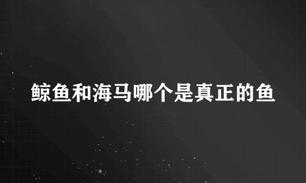 鲸鱼和海马哪个是真正的鱼