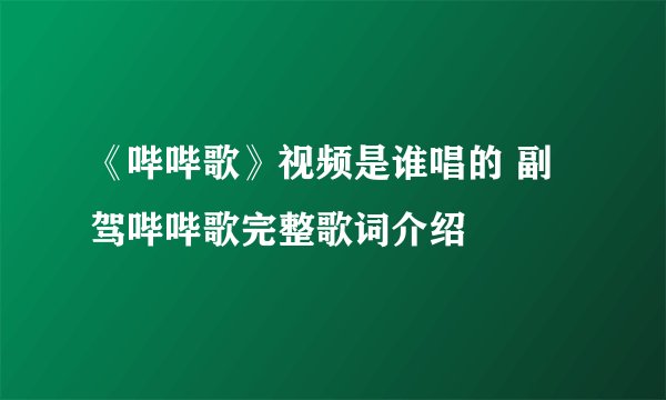 《哔哔歌》视频是谁唱的 副驾哔哔歌完整歌词介绍