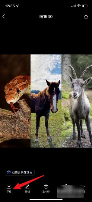 百度网盘的照片怎么下载到手机相册