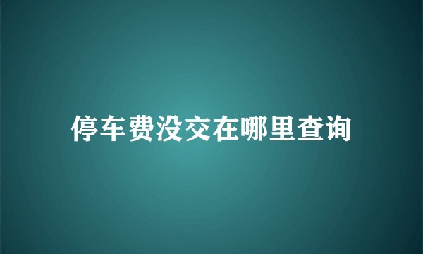 停车费没交在哪里查询