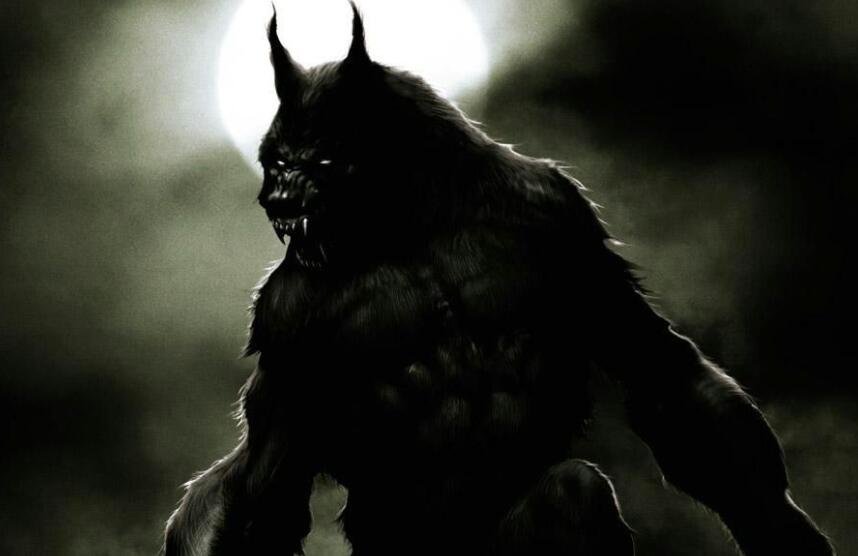 狼人和吸血鬼有什么关系啊??