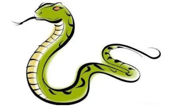 银蛇狂舞打一个生肖，是什么？