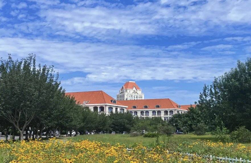 山东一本分数线