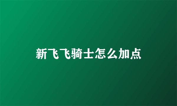 新飞飞骑士怎么加点