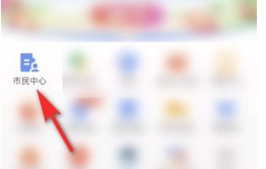 怎么在手机上查看核酸检测的报告？