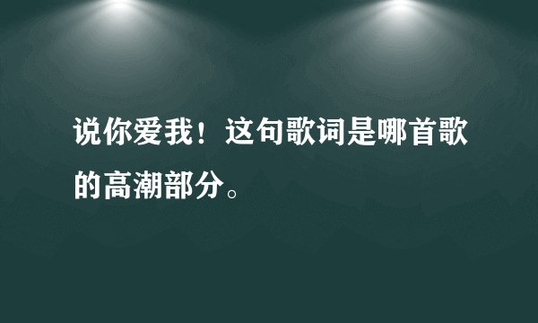 说你爱我！这句歌词是哪首歌的高潮部分。