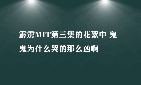 霹雳MIT第三集的花絮中 鬼鬼为什么哭的那么凶啊