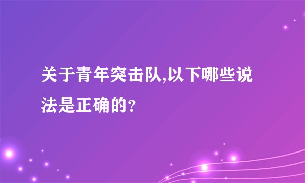 关于青年突击队,以下哪些说法是正确的？