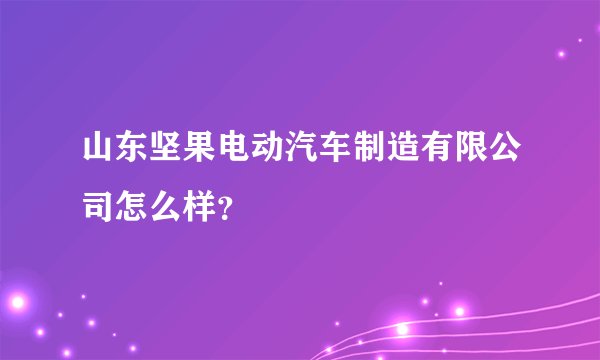 山东坚果电动汽车制造有限公司怎么样？