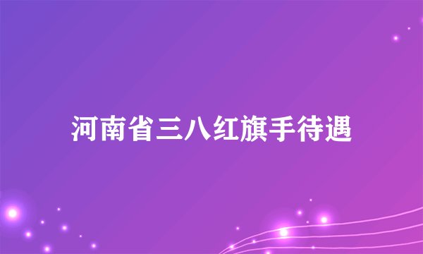 河南省三八红旗手待遇
