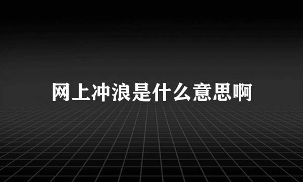 网上冲浪是什么意思啊