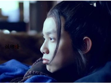 庭生为什么要杀飞流?《琅琊榜》剧情简介