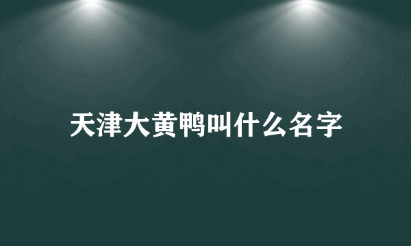 天津大黄鸭叫什么名字