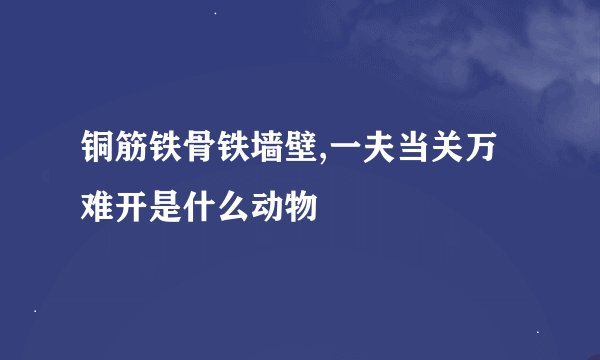 铜筋铁骨铁墙壁,一夫当关万难开是什么动物