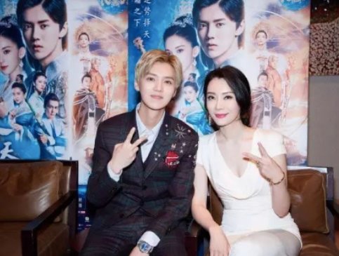 陈数是鹿晗的什么人