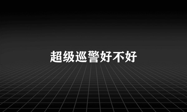 超级巡警好不好