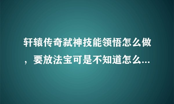 轩辕传奇弑神技能领悟怎么做，要放法宝可是不知道怎么放？求解···