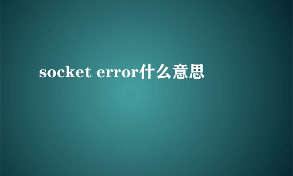 socket error什么意思