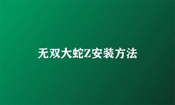 无双大蛇Z安装方法