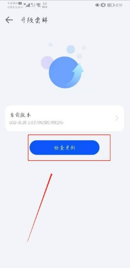 华为p40支持鸿蒙系统吗