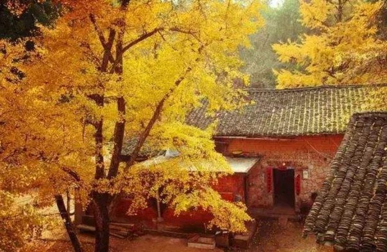 你曾躺在我怀里我以为是爱情是什么歌？