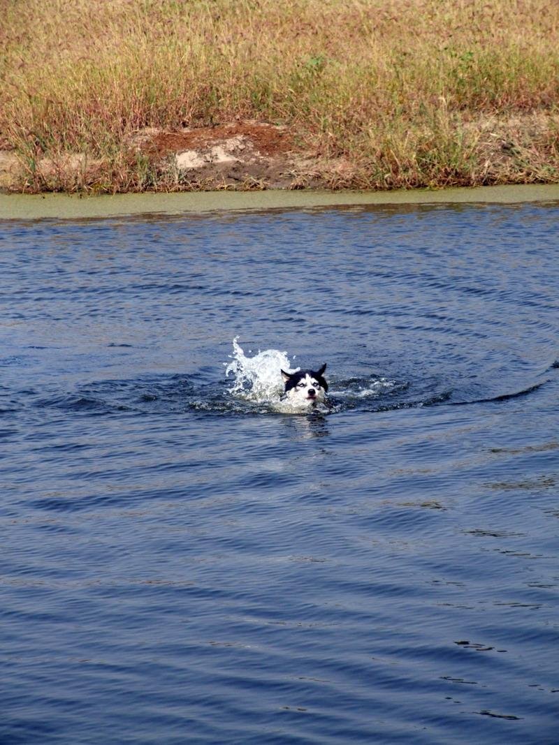 潮白河旅游度假区的简介