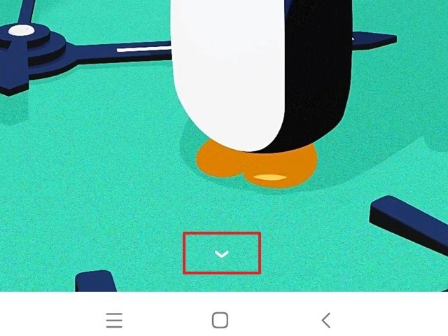 qq的年度报告在哪看