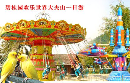 碧桂园欢乐世界的门票