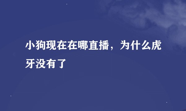 小狗现在在哪直播，为什么虎牙没有了