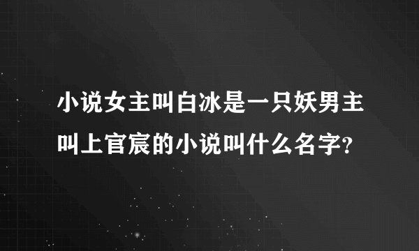 小说女主叫白冰是一只妖男主叫上官宸的小说叫什么名字？