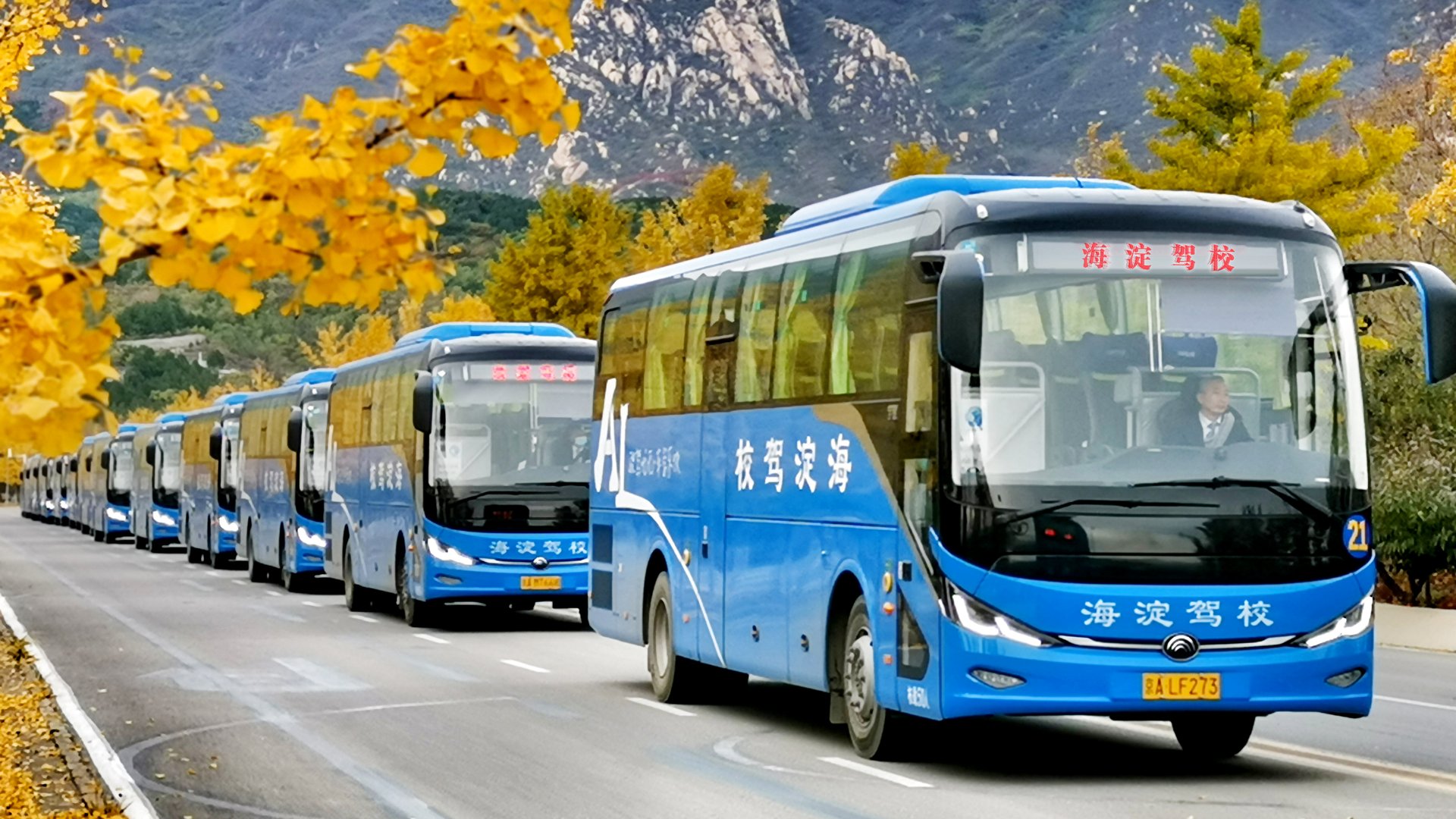 外地人在北京学车需要什么手续