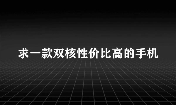 求一款双核性价比高的手机
