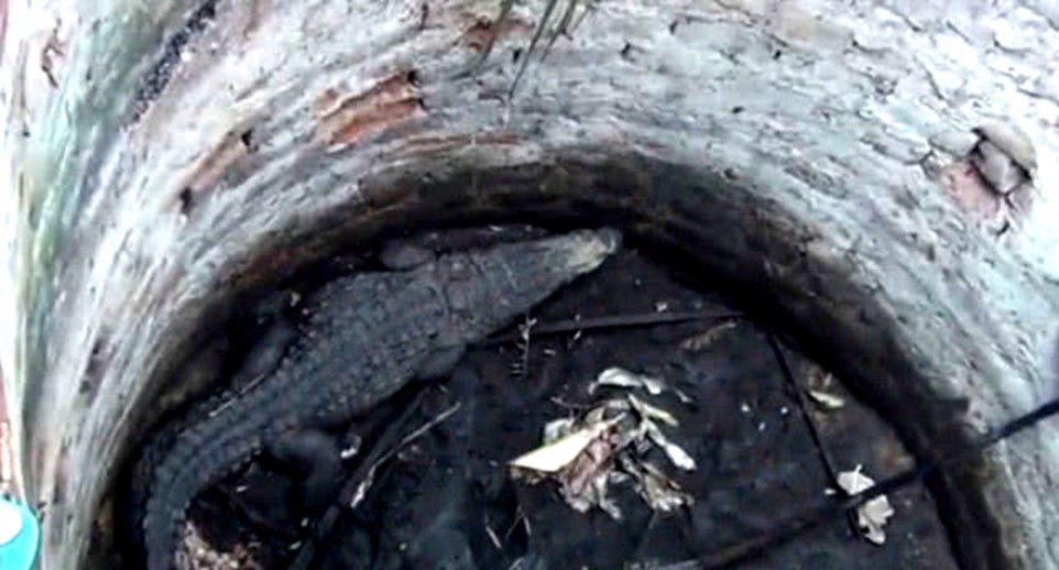 4人造谣贵州山村怪声受罚，其中2人被刑拘，造谣会给人们带来多大困扰？