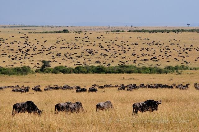 有没有比上帝也疯狂更好看的电影?