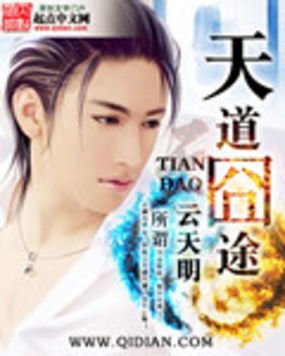 天道囧途的作品简介