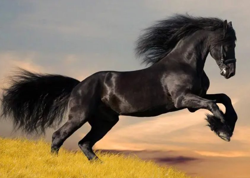 攀高枝儿是指什么生肖的动物