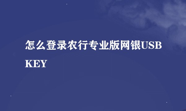 怎么登录农行专业版网银USBKEY