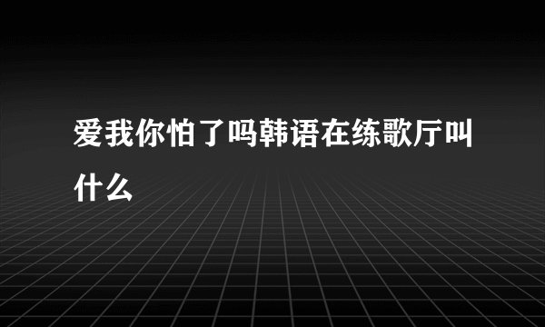 爱我你怕了吗韩语在练歌厅叫什么