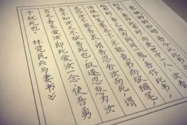 《与妻书》里最感人的句子是什么？要赏析的呀。