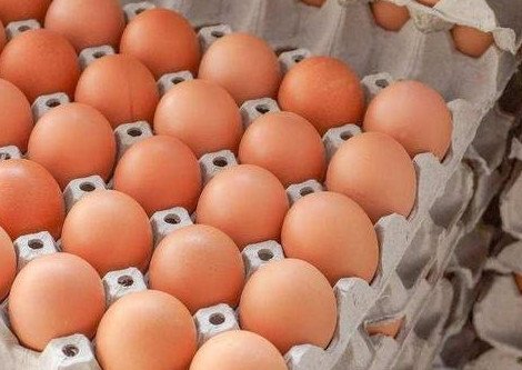 韩国鸡蛋价格暴涨，这是否属于一种正常的现象呢？
