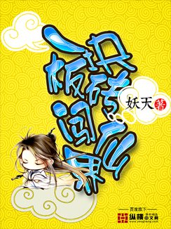 一块板砖闯仙界小说txt全集免费下载