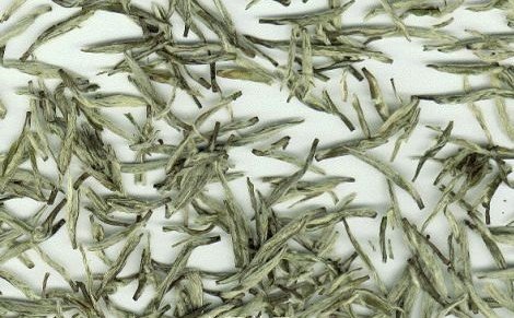 双桥毛尖的品质特征