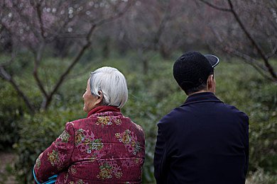 “我想和你一起白头到老”是那首歌的歌词